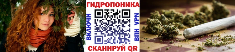 Бошки Шишки THC 21%  blacksprut ССЫЛКА  Сковородино  купить наркоту 